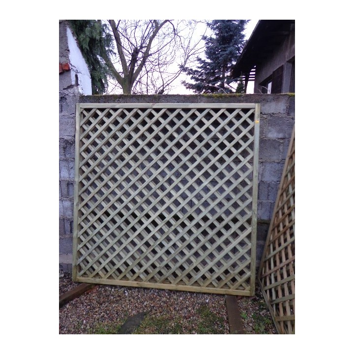 Kratka prosta gęsta 7x7